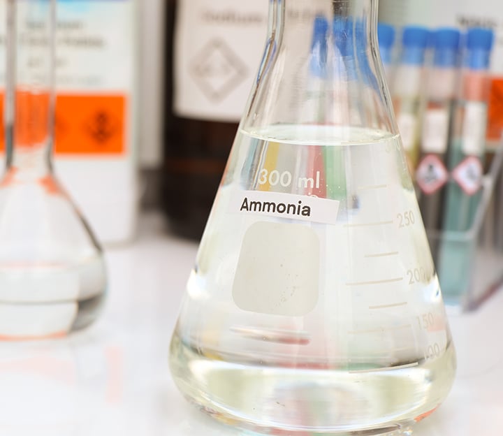 Ammonia reforming